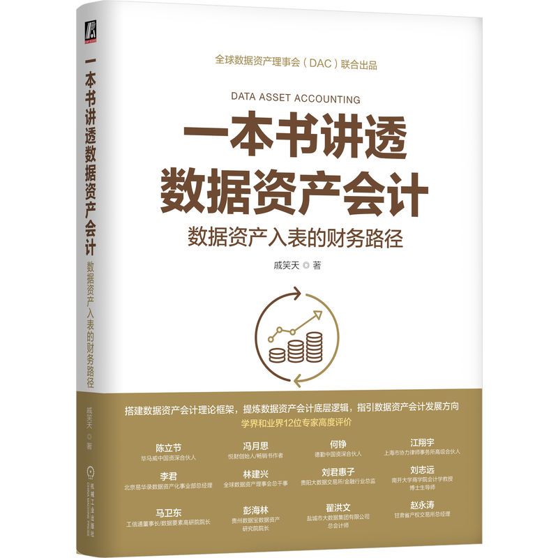 一本书讲透数据资产会计