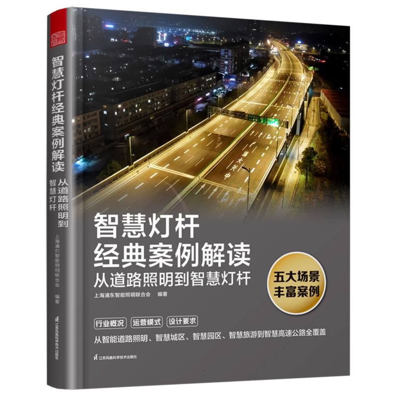 智慧灯杆经典案例解读:从道路照明到智慧灯杆