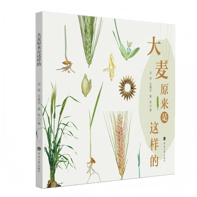 大麦原来是这样的（科普读物）