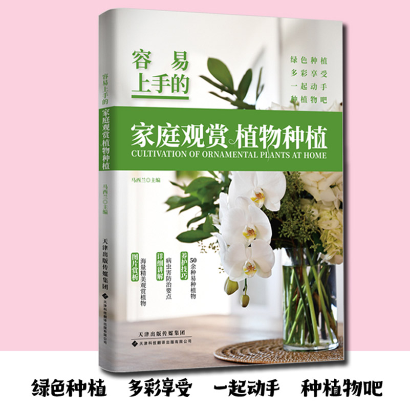 容易上手的家庭观赏植物种植...